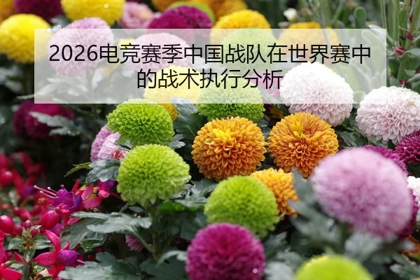 2026电竞赛季中国战队在世界赛中的战术执行分析