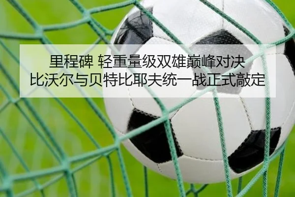 里程碑 轻重量级双雄巅峰对决 比沃尔与贝特比耶夫统一战正式敲定