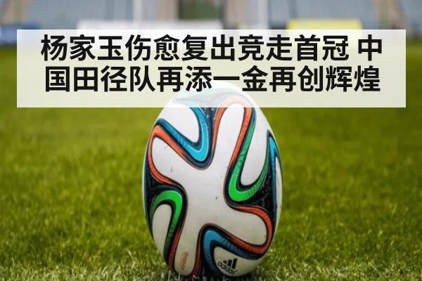 杨家玉伤愈复出竞走首冠 中国田径队再添一金再创辉煌